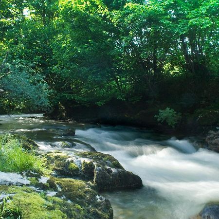 Apartamentos La Corona - Cabrales Carrena de Cabrales Dış mekan fotoğraf